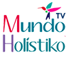 mh pleca tv cuadrada icono